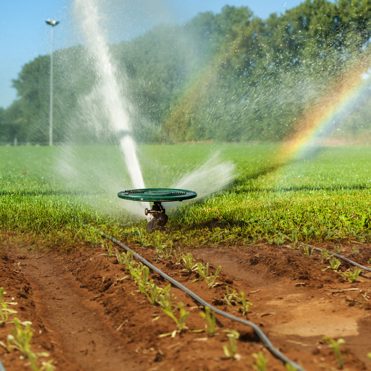Irrigation